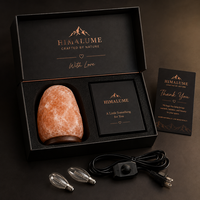 Himalayan pink salt lamp premium packaging with included accessories