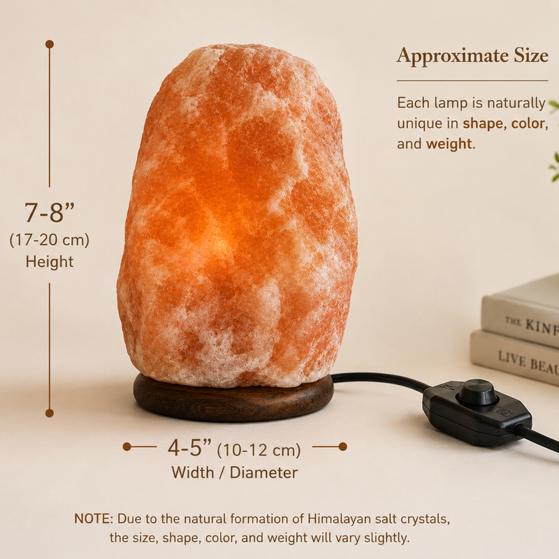 Himalayan pink salt lamp product detail and size approximation