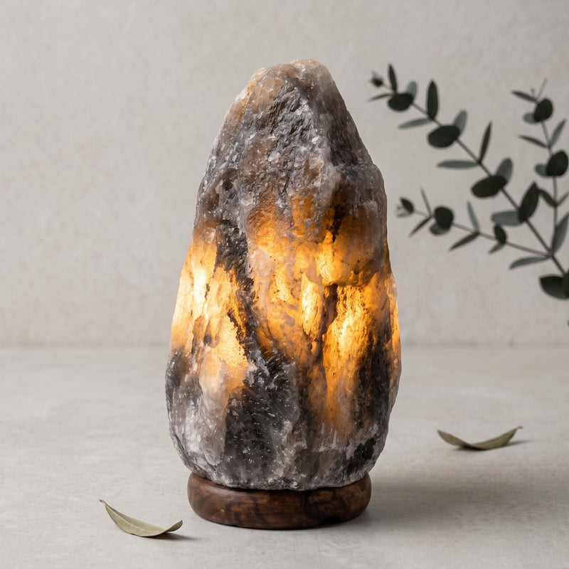 Rare Grey Himalayan salt lamp glowing warmly with minimal botanical styling